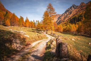 A scenic valley path in autumn